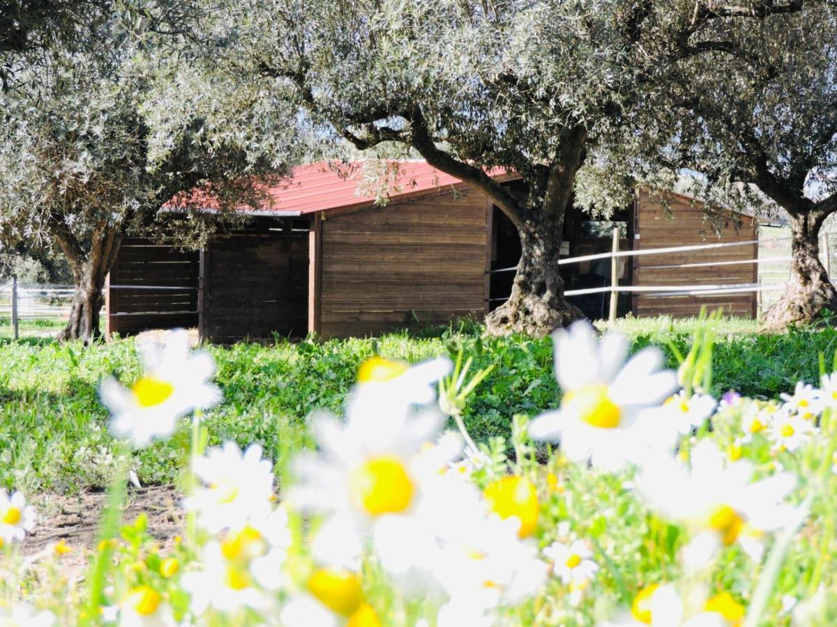Pensjonat Nogueira Country House Fundão Zewnętrze zdjęcie