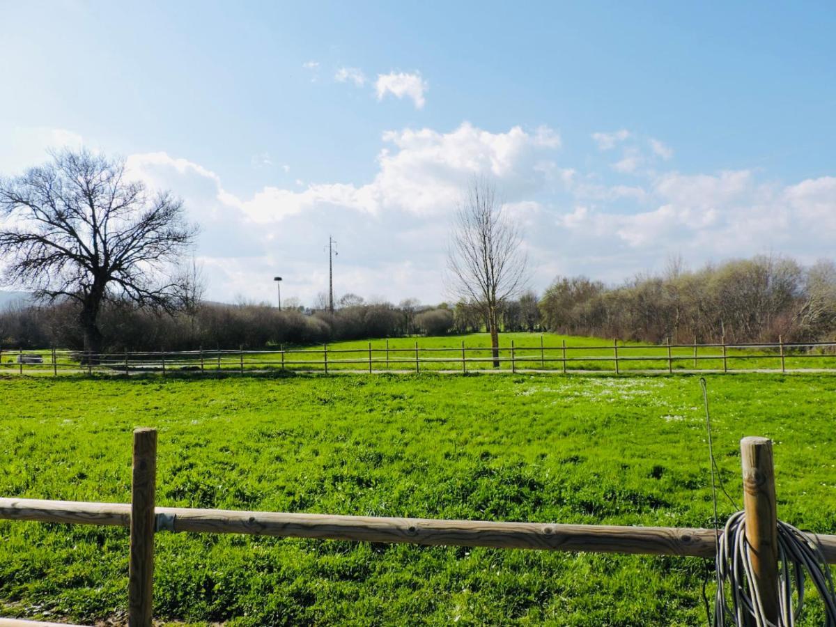 Pensjonat Nogueira Country House Fundão Zewnętrze zdjęcie